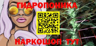 мдпв Жуковский